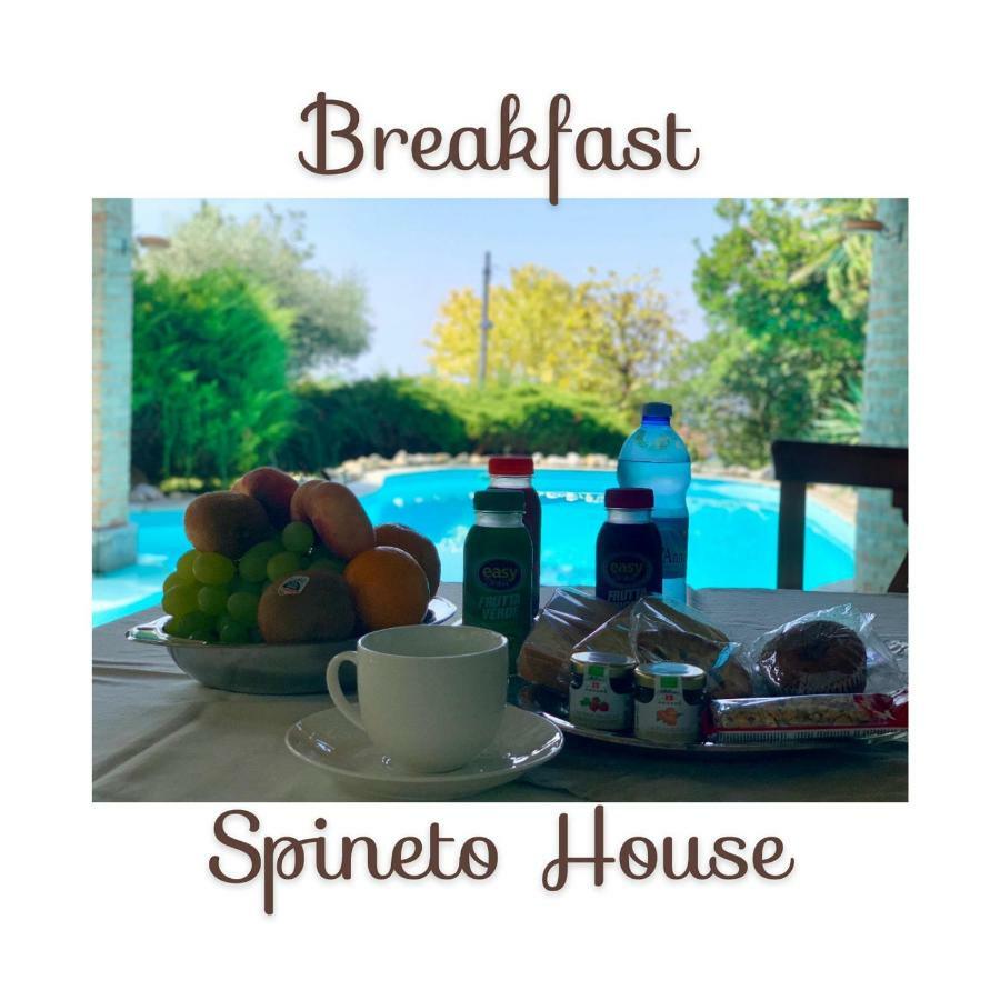 Hotel Spineto House Spineto Scrivia Exterior foto