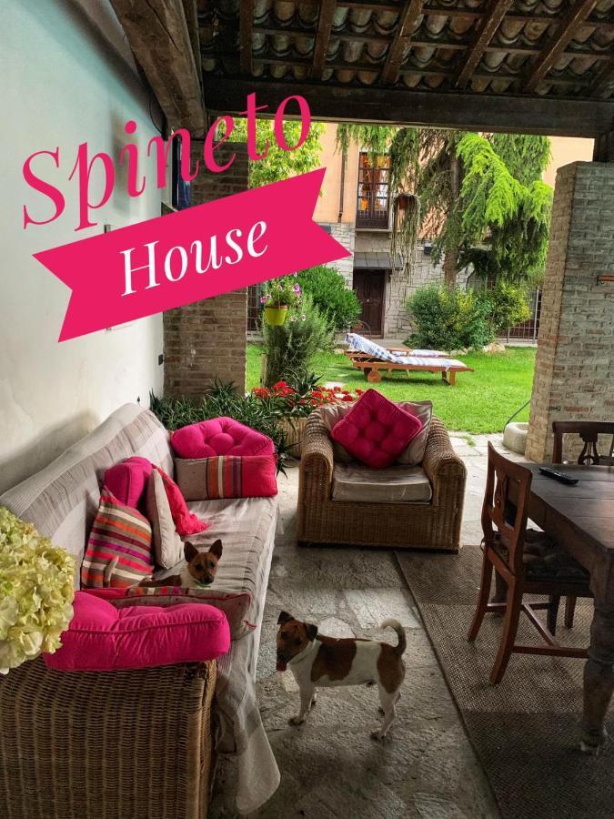 Hotel Spineto House Spineto Scrivia Exterior foto